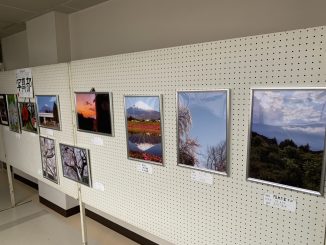 IMG_0434