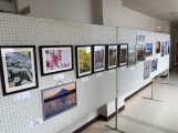 IMG_0433